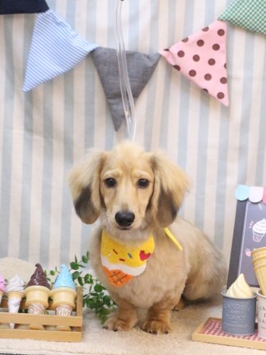 20250515レオくん　